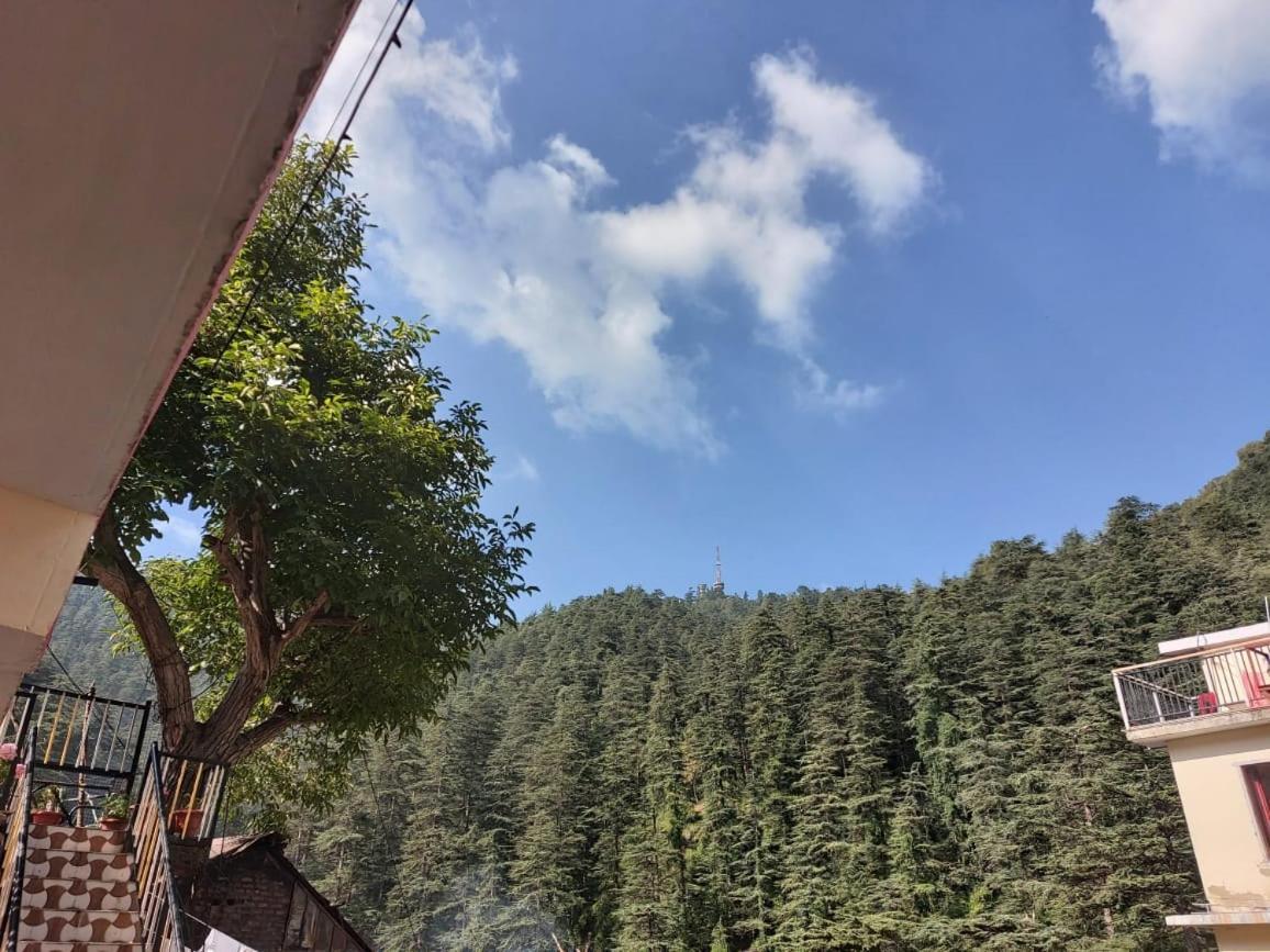 Shimla Pines Homestay Luaran gambar