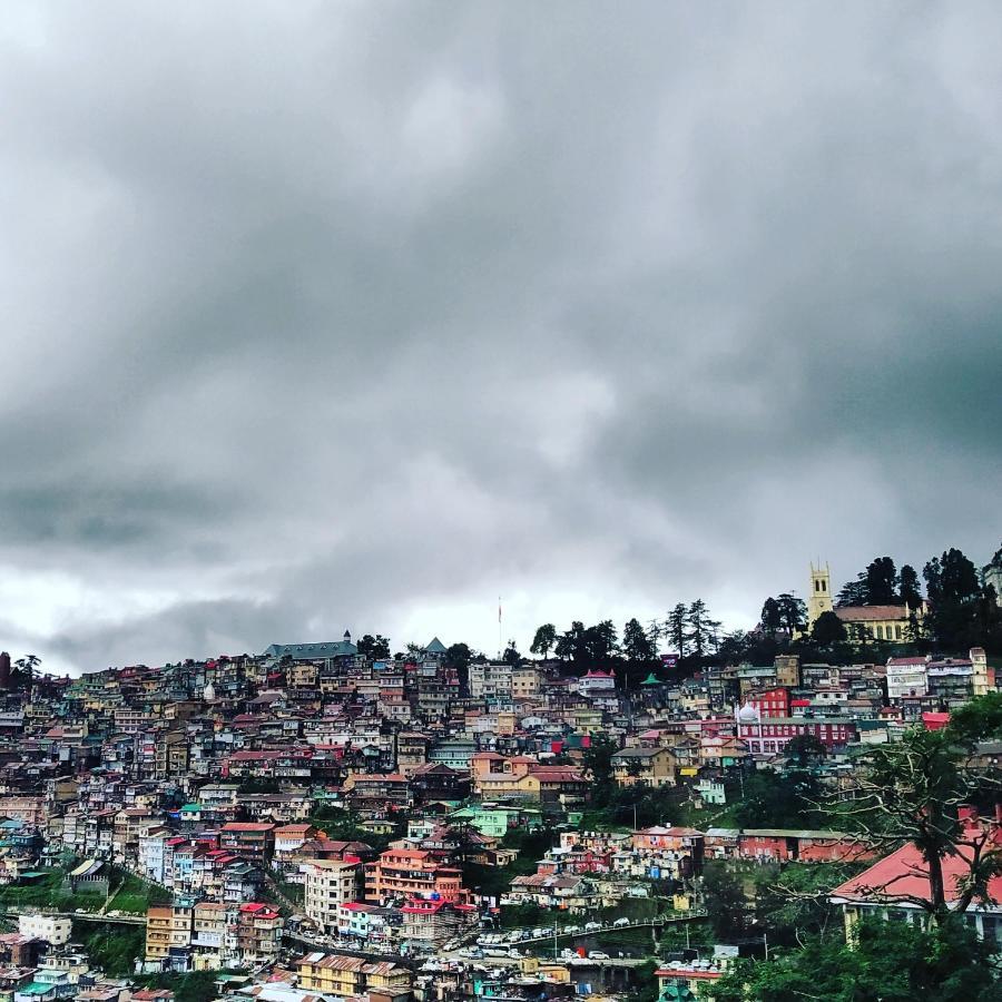 Shimla Pines Homestay Luaran gambar