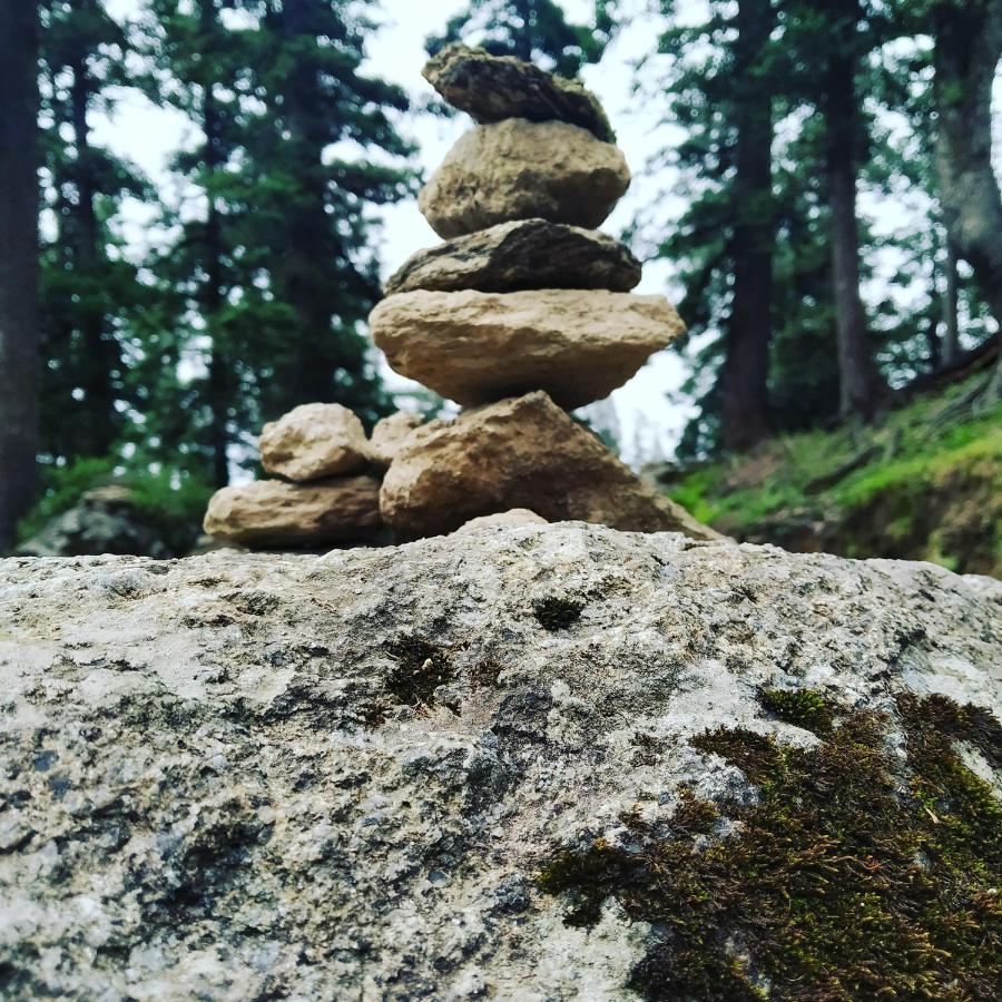 Shimla Pines Homestay Luaran gambar